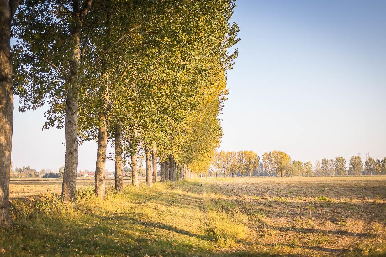 Cascina Gaggioli Villa Milano Ngoại thất bức ảnh